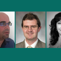 A collage of Eran Kaplan, Kristian Coates Ulrichsen, and Banafsheh Keynoush