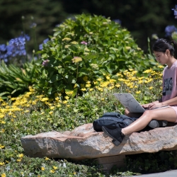 student with laptop sitting on rock in a garden